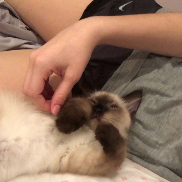 Meet your Posher, Hayley - Picture 1 of 1